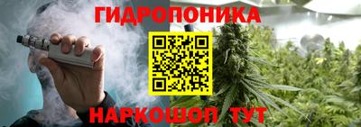 СК Краснодар
