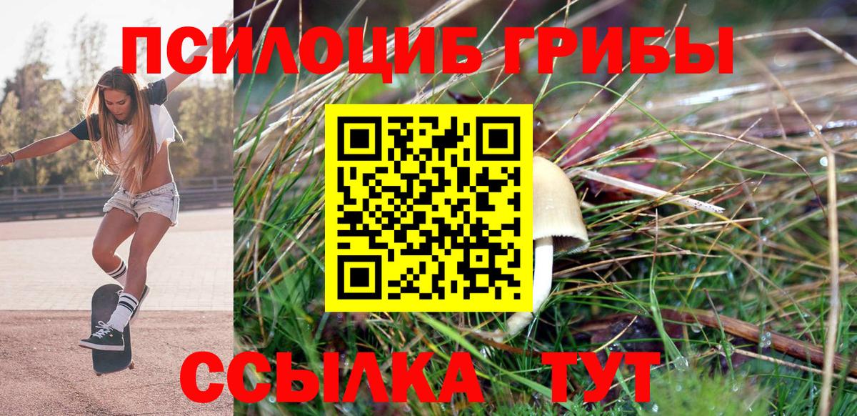 Псилоцибиновые грибы GOLDEN TEACHER Кингисепп